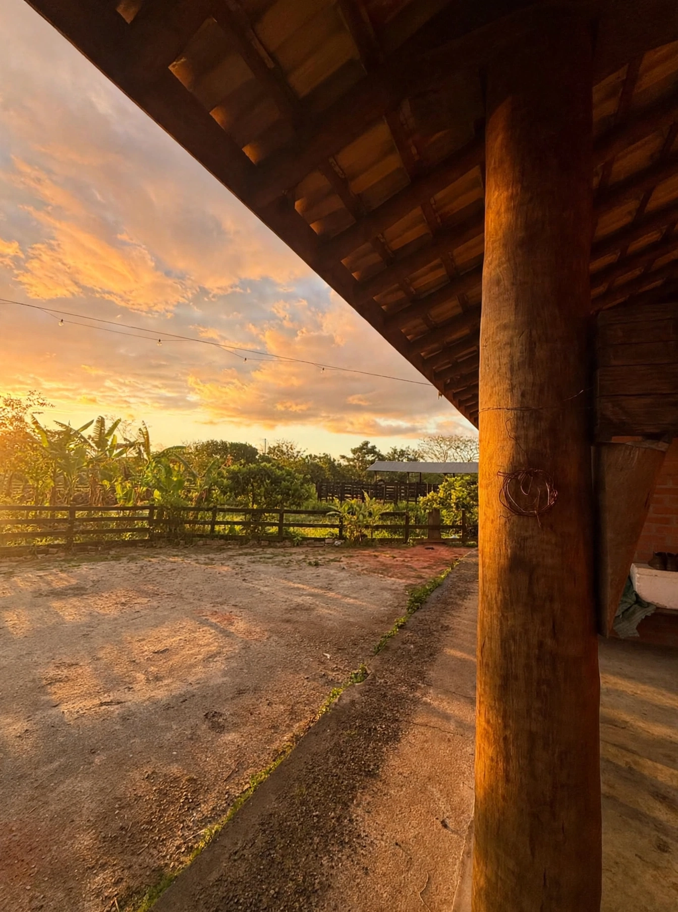 Vista do pomar a partir do salão, com bananeiras e cerca de madeira ao entardecer